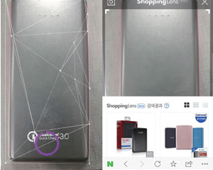 이미지 검색을 품은 쇼핑, 국내 도입도 본격화